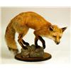 Image 1 : A TAXIDERMY MOUNT