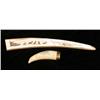 Image 1 : A CARVED SCRIMSHAW TOOTH