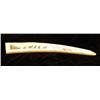 Image 2 : A CARVED SCRIMSHAW TOOTH