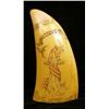 Image 1 : A CARVED SCRIMSHAW TOOTH