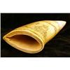 Image 3 : A CARVED SCRIMSHAW TOOTH