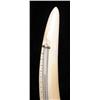 Image 2 : A BONE TUSK