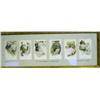 Image 1 : A SERIES OF FRAMED POSTCARDS