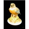 Image 3 : A GROUP OF PORCELAIN BIRD FIGURALS
