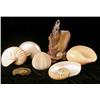 Image 1 : AN ASSORTED GROUP OF SEVEN SHELL-DECORATED TABLE ARTICLES