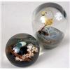 Image 2 : A GROUP OF SIX ASSORTED PAPERWEIGHTS