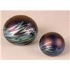 Image 4 : A GROUP OF FIVE GLASS PAPERWEIGHTS
