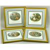 Image 1 : FOUR FRAMED POLYCHROME FRENCH PRINTS
