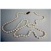 Image 3 : A STRAND OF WHITE CULTURED PEARLS