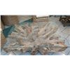 Image 1 : Solid "Root" Light-Wood Coffee Table w/ Glass Top (glass 43" x 54")