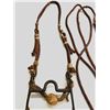 Image 2 : Hand Braided Headstall with Crockett Style Bit