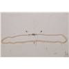 Image 1 : Single strand of genuine graduated pearls with 14kt white gold clasp 20" in length and a pair of sin