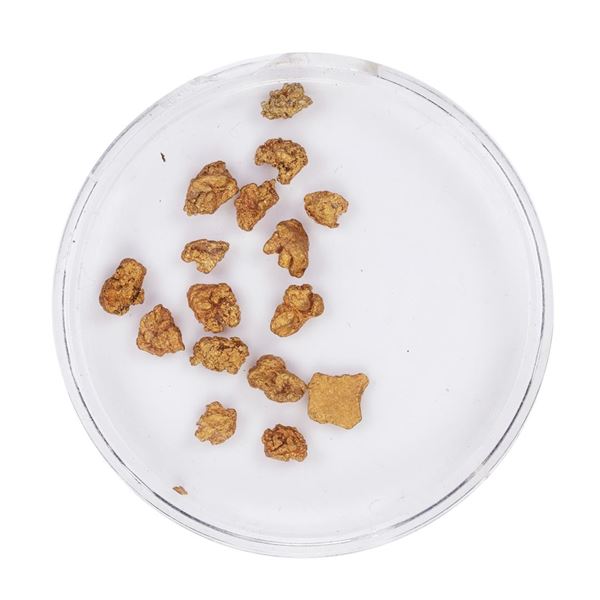 Lot of Gold Nuggets 3.03 Grams Total Weight