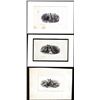 Image 1 : Lot of (3) 1800's Vignette from Original Proof Plates