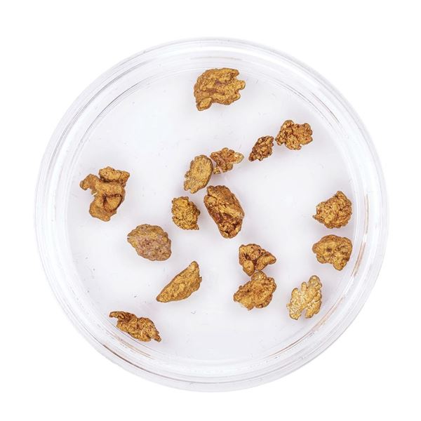 Lot of Gold Nuggets 4.36 Grams Total Weight