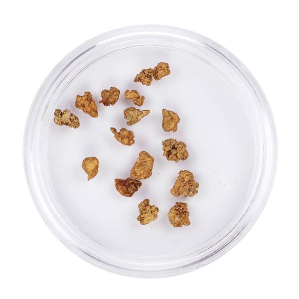 Lot of Gold Nuggets 2.68 Grams Total Weight