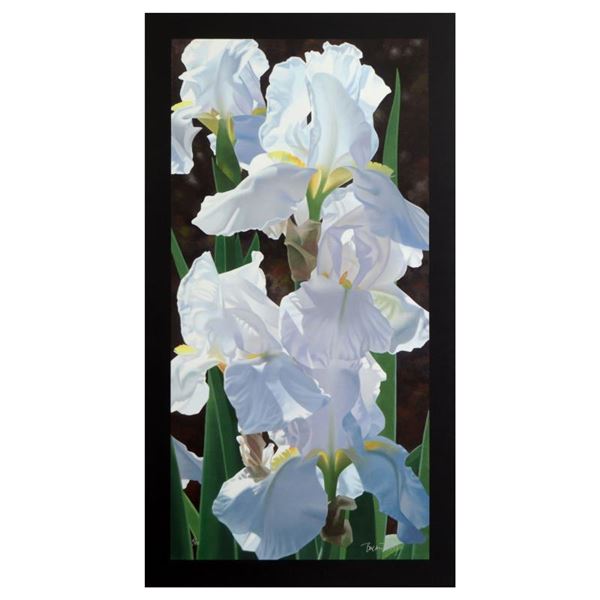 Brian Davis "Enchanting Irises" Limited Edition Giclee on Canvas