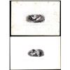 Image 1 : Lot of (2) 1800's Vignette from Original Proof Plates