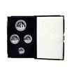 Image 2 : 2001-W Proof Platinum American Eagle (4) Coin Set with Box & COA