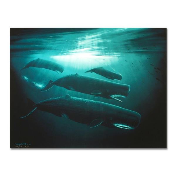 Wyland "The Great Sperm Whale" Limited Edition Cibachrome