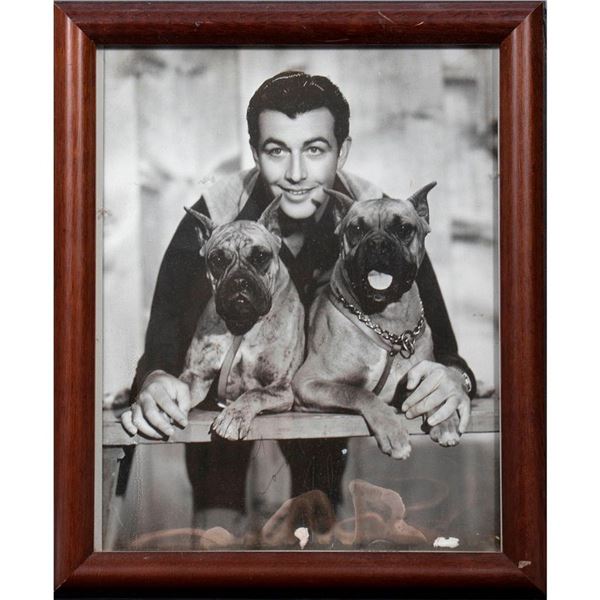 Robert Taylor
