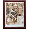 Image 1 : Steve Young