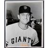 Image 1 : Don Zanni