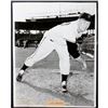 Image 2 : Don Zanni