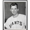 Image 4 : Don Zanni