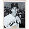 Image 6 : Don Zanni