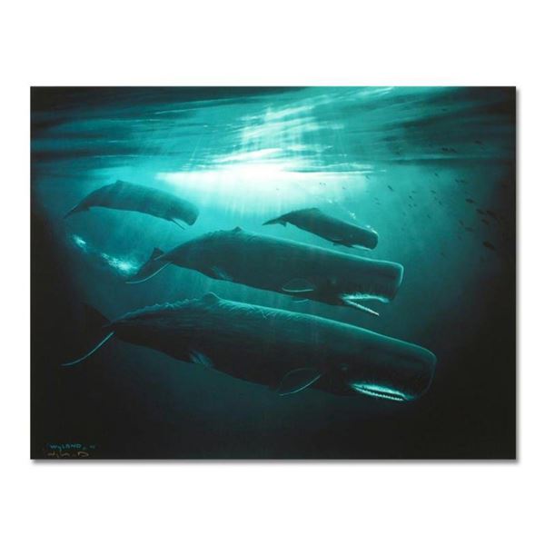 Wyland, "The Great Sperm Whale" Hand Embellished Limited Edition Cibachrome, Numbered and Hand Signe