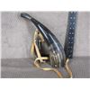 Image 2 : New Black Powder Horn