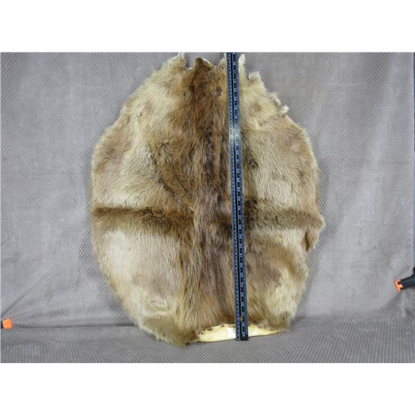 Beaver Tanned Hide