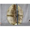 Image 1 : Beaver Tanned Hide