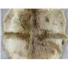 Image 2 : Beaver Tanned Hide