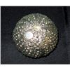 Image 2 : Michael Aram 'Urchin' Design Bowl w/ White Glazed Interior 5"x2"H