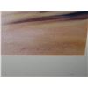 Image 2 : Framed Original Pastel on Canvas 'Kailua Beach' Signed, 2003 Nancy Poes 22"x10"
