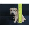 Image 8 : Sandicast Shar-Pei Dog Figurine, Signed Sandra Brue 6"H