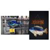 Image 1 : FRAMED STAINED GLASS PANEL, "AKULE LADY" BY M. BALDON 05 & CERAMIC "WELCOME FISH" SIGN (2 PCS)