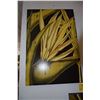 Image 2 : WALL ART (2 PCS)