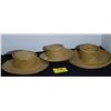Image 1 : LAUHALA HATS (3 PCS)