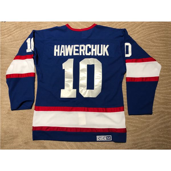 DALE HAWERCHUK WINNIPEG JETS MENS JERSEY