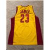 Image 1 : LEBRON JAMES CLEVELAND CAVS JERSEY