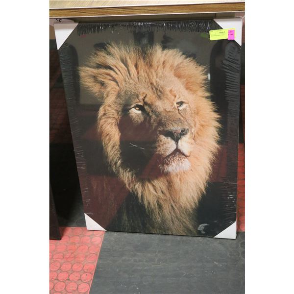 PHOTOGRAPHY LION 20 INCH X 28 INCH