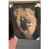 Image 1 : PHOTOGRAPHY LION 20 INCH X 28 INCH