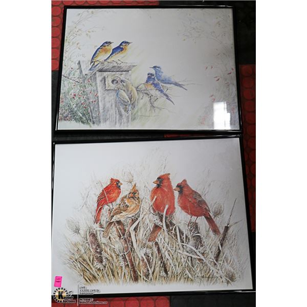 LOT OF 2 FRAMED BIRD PICTURES