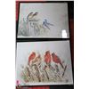 Image 1 : LOT OF 2 FRAMED BIRD PICTURES