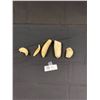 Image 1 : Nice Lot Of 5 Vintage Whale? Teeth