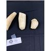 Image 2 : Nice Lot Of 5 Vintage Whale? Teeth