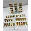 Image 2 : 44 Indians Of Canada Red Rose Tea Cards
